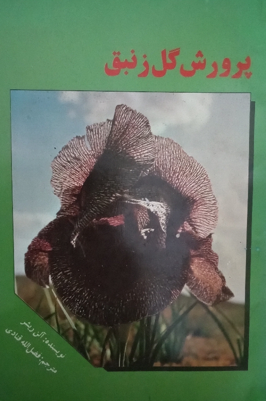 پرورش گل زنبق