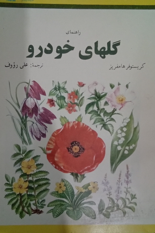 راهنمای گل های خودرو