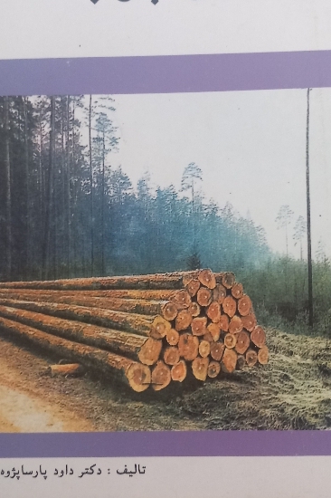 تکنولوژی چوب