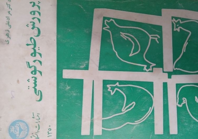 پرورش طیور گوشتی