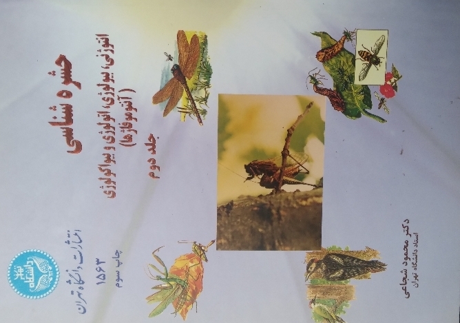 مبانی فناوری قلات