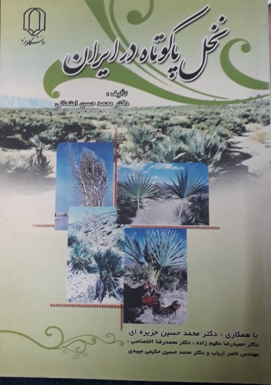 نخل پاکوتاه در ایران