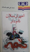 امیر ارسلـان نامدار