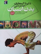 بدن انسان