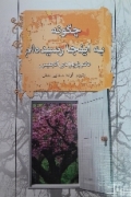 چگونه به اینجا رسیدمـ