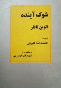 شوک آینده