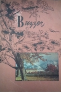 Buzzer