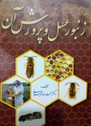 زنبور عسل و پرورش آن