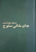 جای خالی سلوچ