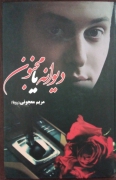 دیوانه یا مجنون