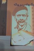 یک چاه و دو چاله