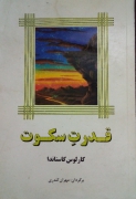 قدرت سکوت