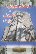 زندگی کوروش و داریوش بزرگ