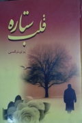 قلب ستاره