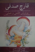قارچ صدفی