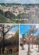 جنگلداری شهری