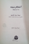 آشفتگان شیفته