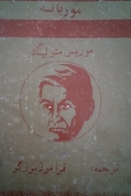 موریانه