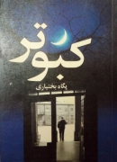 کبوتر