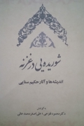 شوریده‌ یی در غزنه