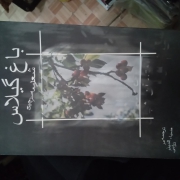 باغ گیلـاس شعر معاصر چین