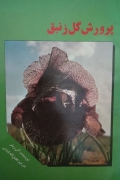 پرورش گل زنبق