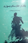 بگذار خارستان بسوزد