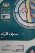 ستون فقرات