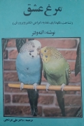 مرغ عشق