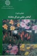 معرفی برخی از گیاهان علفی دیرگل دهنده