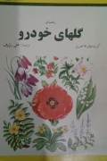 راهنمای گل‌ های خودرو