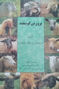 پرورش گوسفند