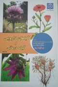 گیاهان دارویی و گیاه در، انی