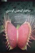 ساختار گیاهان آوندی