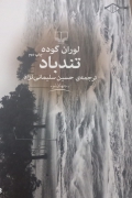 تند باد