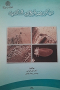 میکروبیولوژی شکمبه