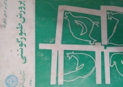 پرورش طیور گوشتی