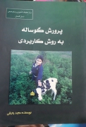 پرورش گوساله به روش کاربردی