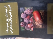 اثر مبدا بدر روی خصوصیات کمی و کیفی نهال بلوط ایرانی