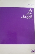 راه رفتن روی ریل