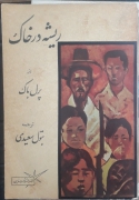 ریشه در خاک