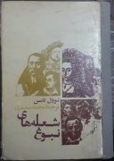 شعله های نبوغ