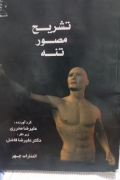 تشریح مصور تنه