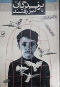 پرندگان نیز رفتند