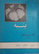 پنبه (کشاورزی و بازرگانی)