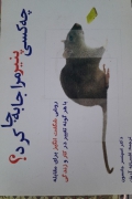 چه کسی پنیر مرا جابجا کرد